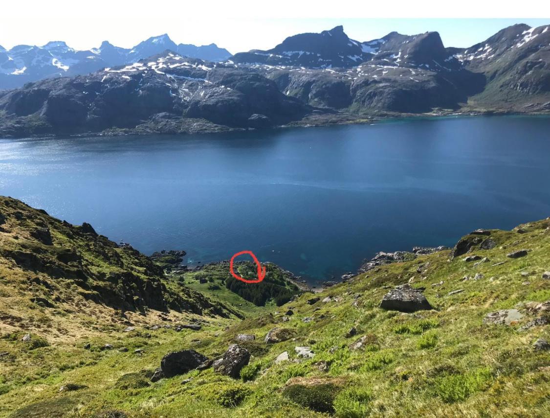 Vettinghytta, Close To The Sea With Amazing View. Gravdal  Exteriér fotografie