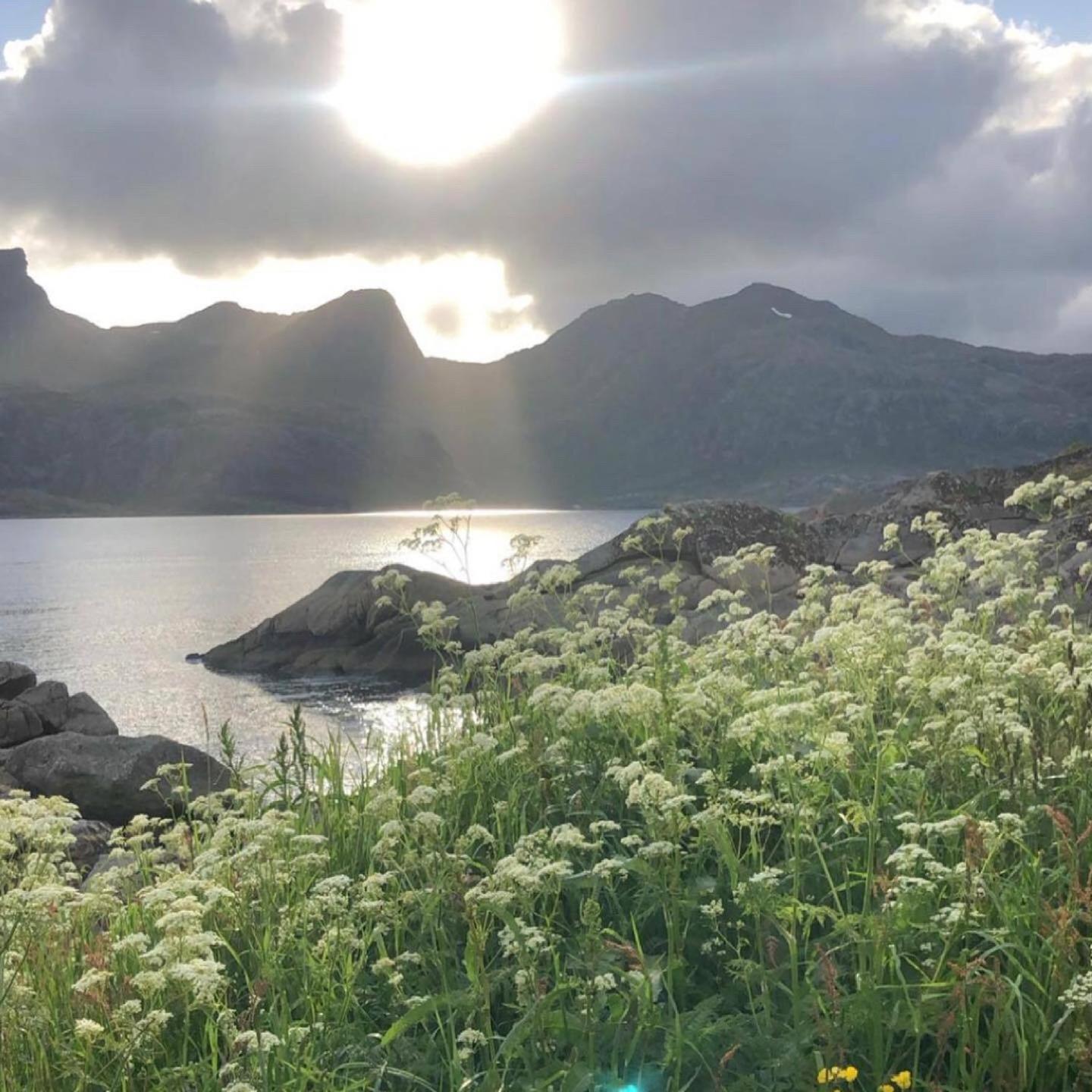 Vettinghytta, Close To The Sea With Amazing View. Gravdal  Exteriér fotografie